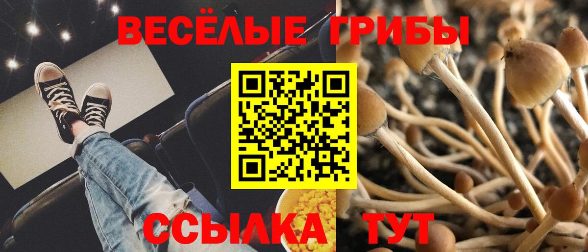 Лесосибирск  Псилоцибиновые грибы мицелий  Вход с VPN 